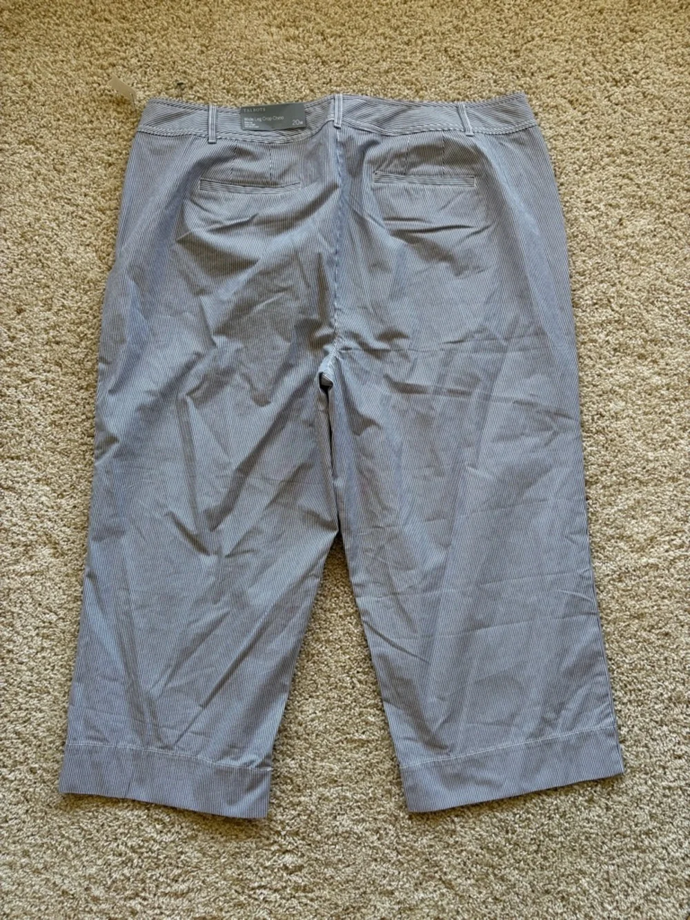 Talbots Wide Leg Crop‎ Chino Pants Blue White Stripe High Rise 20W NWT